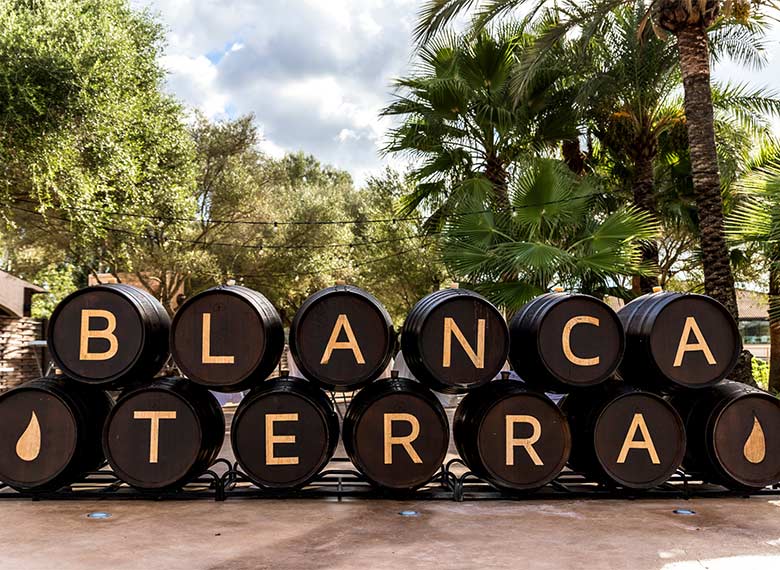OK_EXT_RUTA-ENOLOGICA_MALLORCA_002