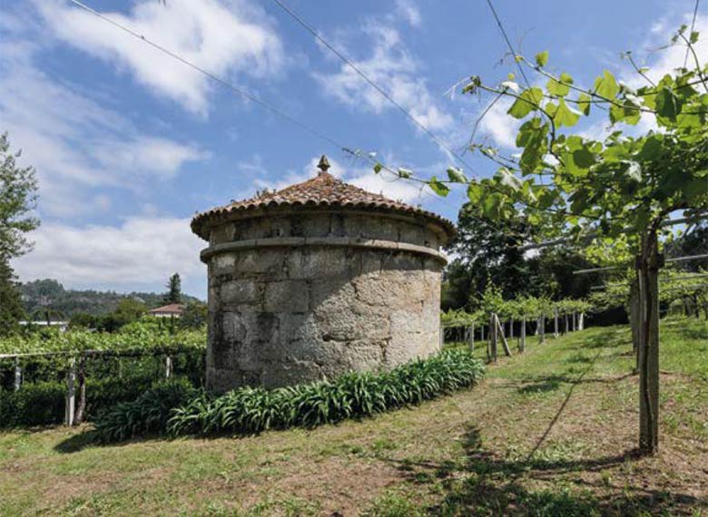 OK_EXT_RUTA-ENOLOGICA_RIAS-BAIXAS_004
