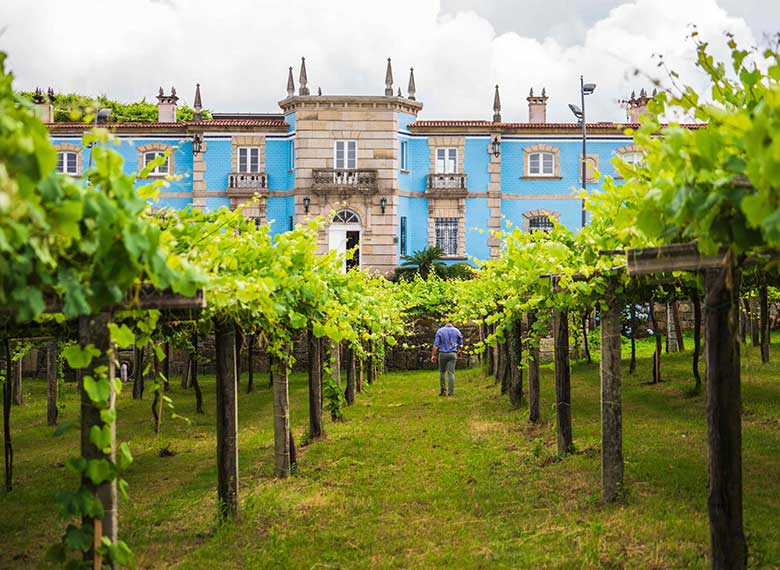 OK_EXT_RUTA-ENOLOGICA_RIAS-BAIXAS_014