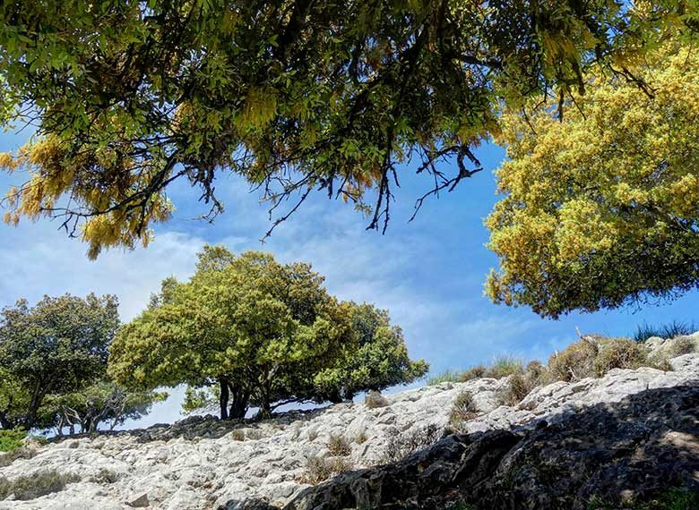 EXT_PAQUETE-4x4-MALLORCA_001