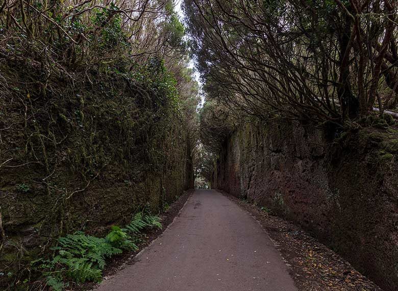 OK_EXT_ACTIVITY_TENERIFE_PARQUE-RURAL-ANAGA_001