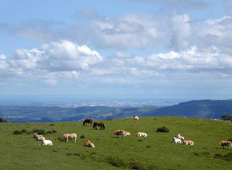 OK_EXT_PAQUETE-CANTABRIA_005