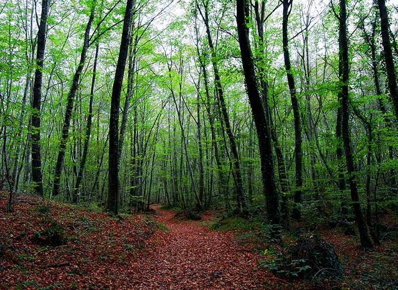 OK_EXT_PAQUETE-LA-GARROTXA_002