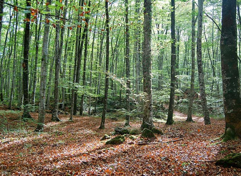 OK_EXT_PAQUETE-LA-GARROTXA_010