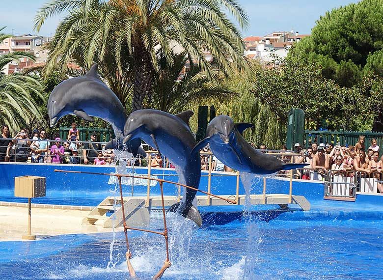 OK_EXT_PAQUETE-LLORET-DE-MAR_008