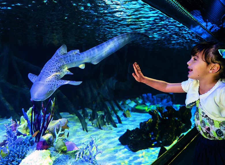 loro parque acuario (3)