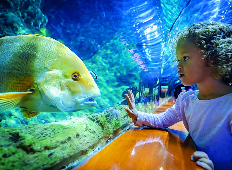 loro parque acuario (8)