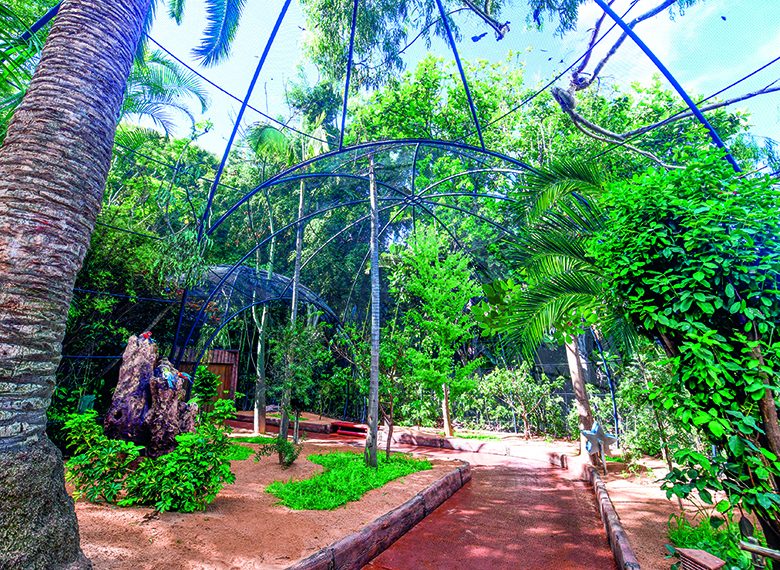 loro parque aviario oceania