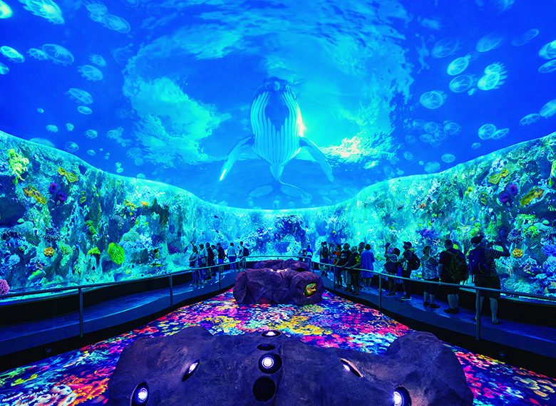 loro parque coral kingdom
