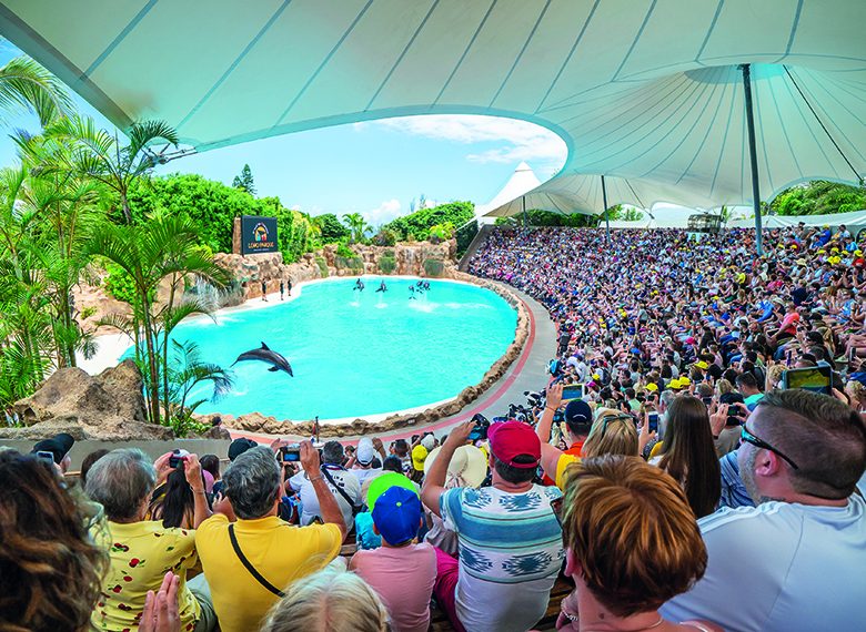 loro parque delfines (2)