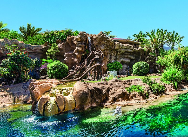 loro parque isla del tigre (1)