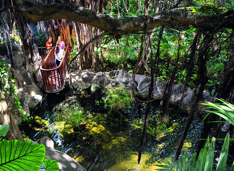 loro parque jungla (2)