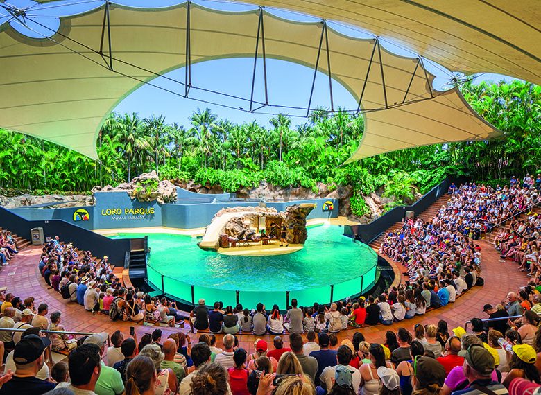 loro parque leones marinos (3)