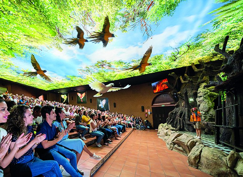 loro parque loros (1)